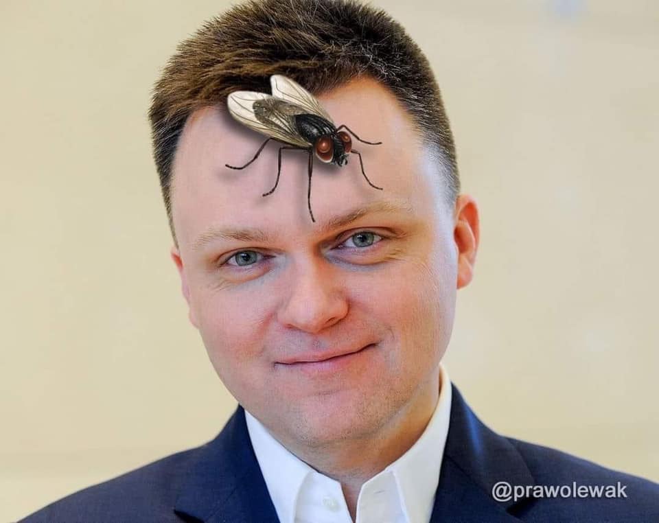 Krzysztof Gonia 🇪🇺🇵🇱 ✝️ #CSB #LaczyNasPolska tweet media