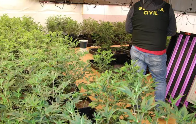 Cati_Tarragona's tweet photo. Deu detinguts en una macro operació policial contra el cultiu de marihuana a Cunit, Calafell, Albinyana, el Vendrell, Roda de Berà, Creixell, Altafulla i Torredembarra. En l'operació, s'han desmantellat diverses plantacions 

Més notícies territorials a: 
https://t.co/T3PgjZsh0H https://t.co/Ls7WWkqauF