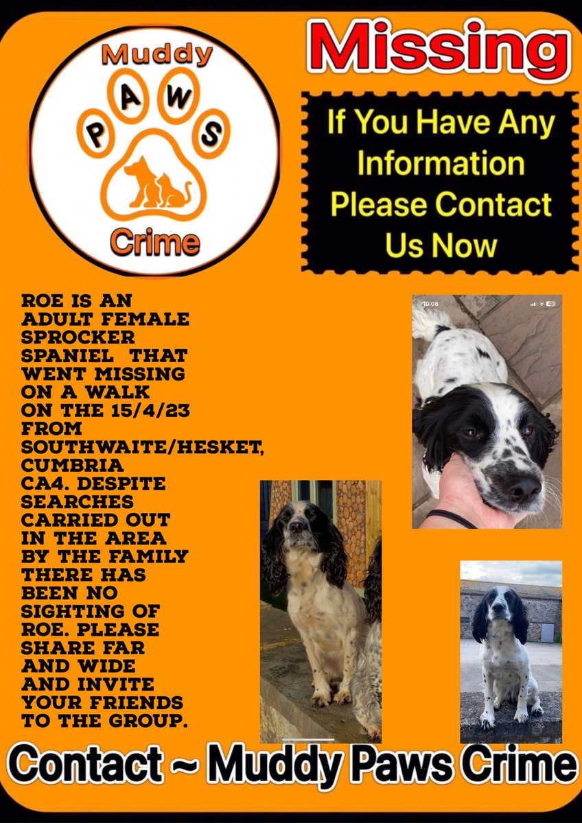 KarenFi51820768's tweet photo. @MissingPetsGB ****URGENT REQUEST **** CUMBRIA AREA
Can any #groundteam or anyone with a drone preferably thermal) pls DM @MUDDYPAWSCRIME or comment . If you are a #drone #pilot for this area pls get in contact . Thank you so much #RT @MissingPetsGB hope you donโt mind me jumping on your tweet https://t.co/MO8PaCou4B