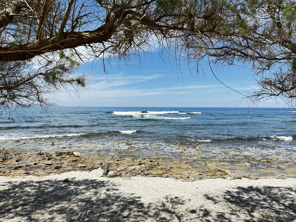 MacBooket's tweet image. I can think of worse places to spend my birthday!! To the bar I go!