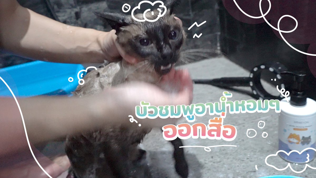 Bonusiie's tweet photo. ทดสอบหูตัวเองกัน

ชมคลิป https://t.co/ObfPDuRcaa https://t.co/mp6MP2Xtg2