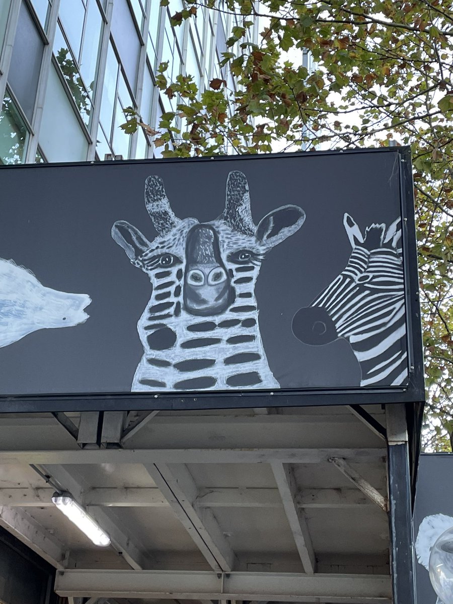 emmah8r's tweet photo. Losing my mind at this image of a giraffe https://t.co/3GwZTOj8Uj