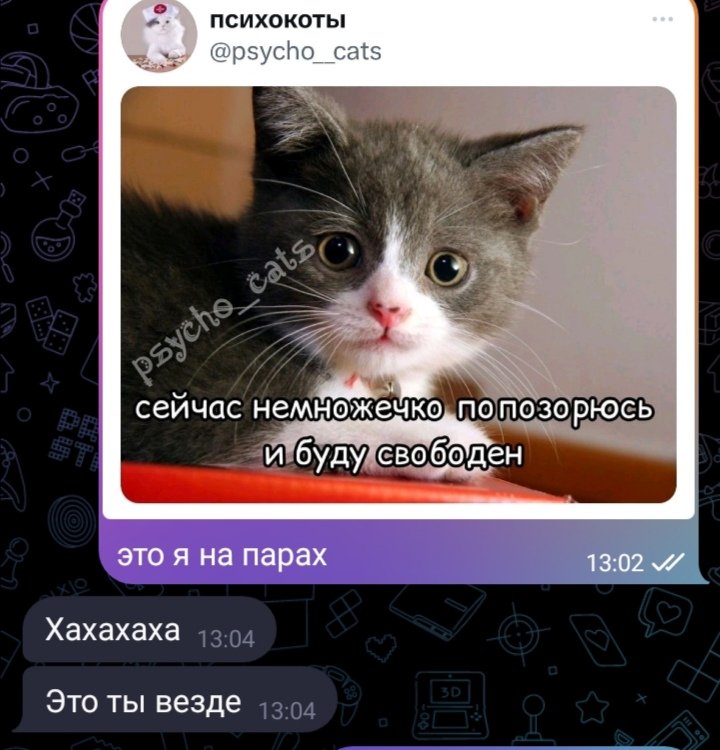 speedy_dv's tweet photo. ну я вопросы? https://t.co/ActPtp7EU3