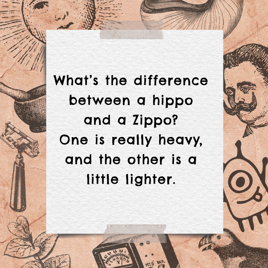 Edzardt's tweet photo. What's the difference between a hippo and a zippo?

#jokes #funny #comedy #lol #humor #fun #laugh #lmao #joke #follow #love #haha #like #hilarious #viral #sarcasm #jokesfordays #pun #dadjokes #badpuns #punsforlife #wordplay #punsworld #dadjokesfordays #edzardt #hippo #zippo https://t.co/ONRUsoexVi