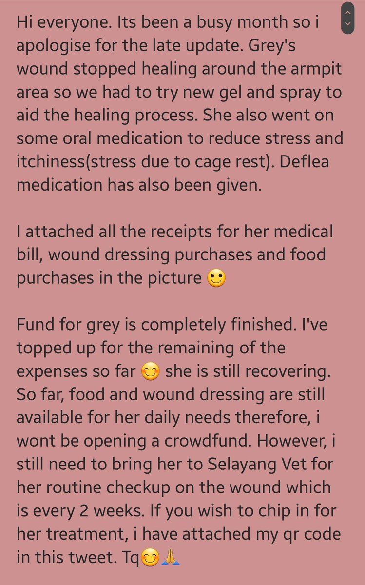 samantha_cavill's tweet photo. Hi semua. This is update for Grey, the cat with the maggot wound. Boleh juga refer to my pinned tweet bagi semua kos yg dibelanjakan bagi rawatan grey so far. All receipts have been attached there 😊🙏 https://t.co/HAWEFFpRzE