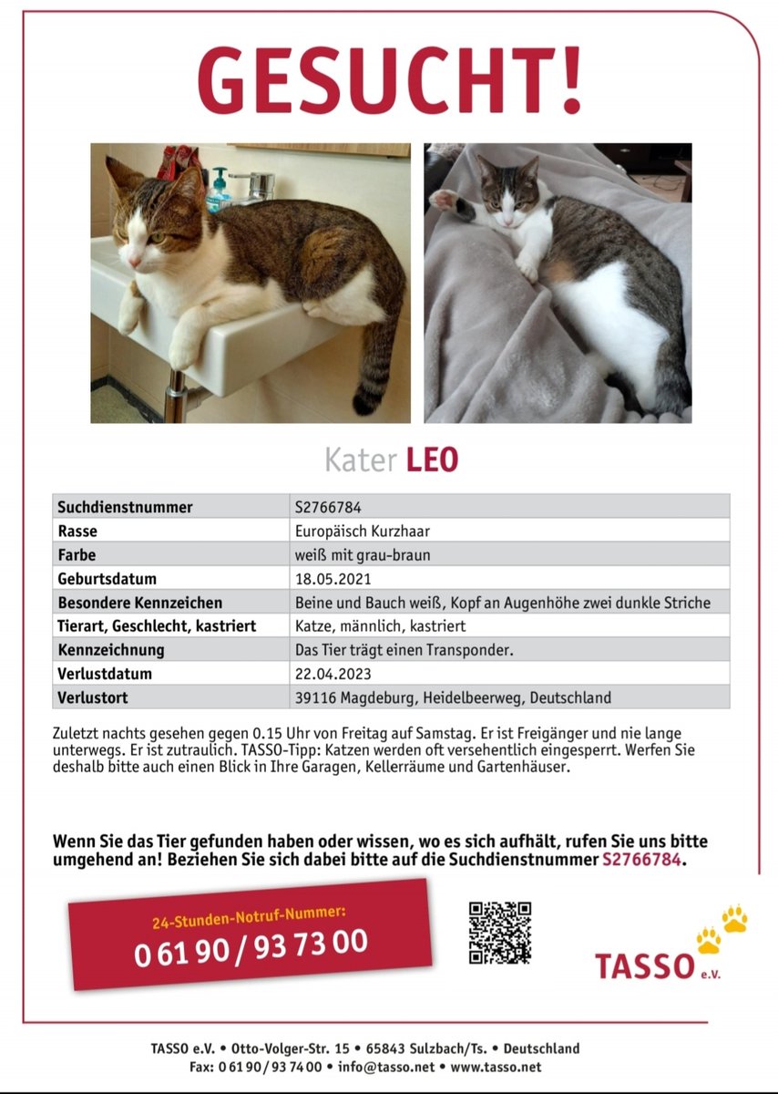 Wir vermissen seit Freitagnacht unseren Kater Leo. Er ist in MD-Ottersleben/Birnengarten zu Hause. Hat ihn jemand gesehen?