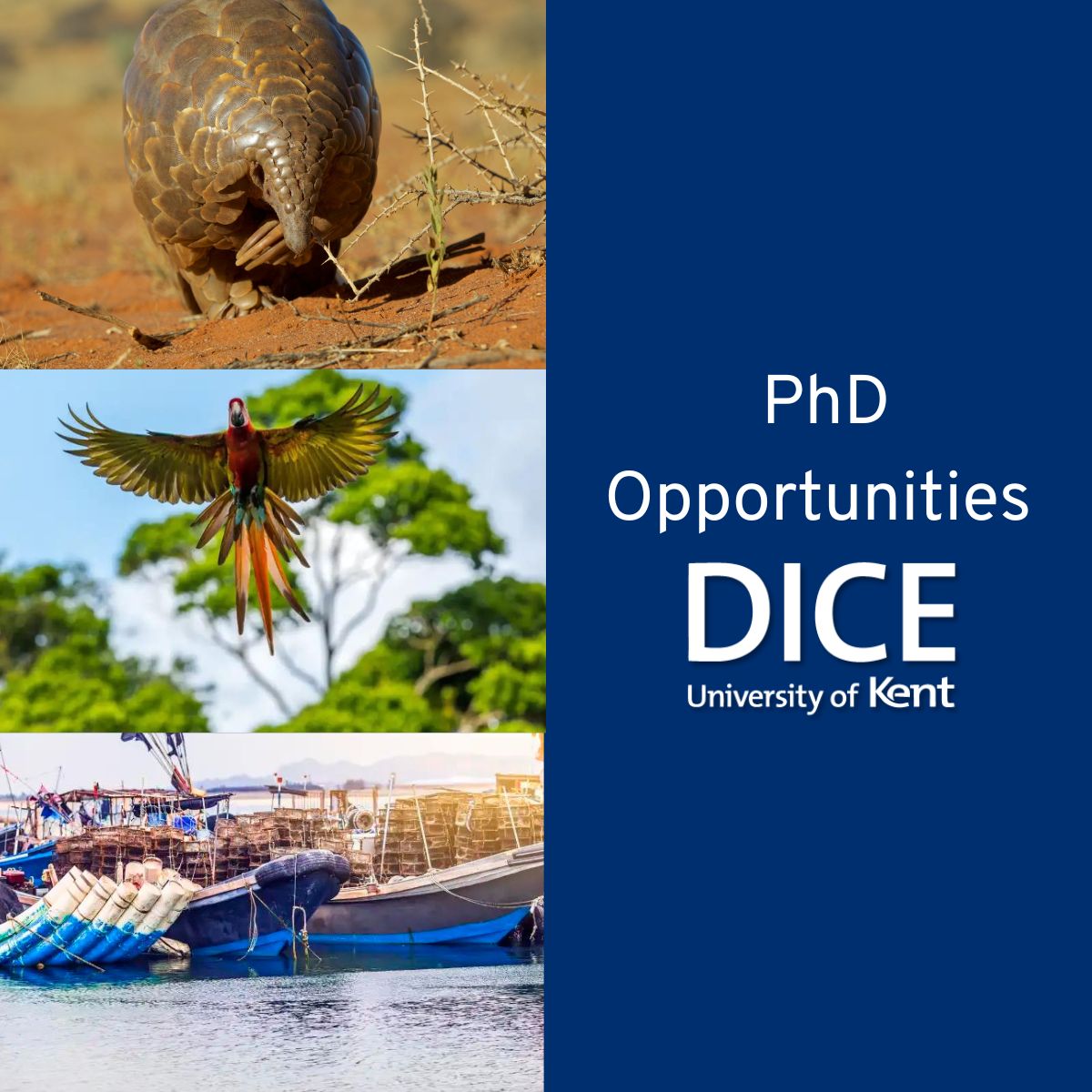 🚨PhD alert🚨

We are currently advertising THREE PhD studentships.

See 🧵 below for more details and deadlines.