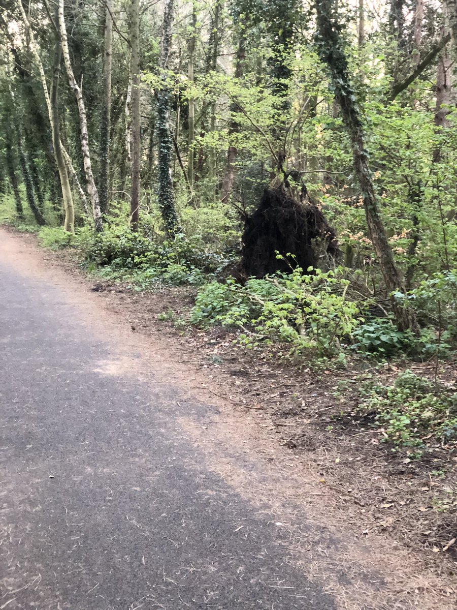 Must be watching too much <a href="/RATW_official/">Celebrity Race Across The World</a> on <a href="/BBCOne/">BBC One</a> … thought I’d come face to face with a bear on my run this morning… turns out it’s just an upturned tree stump!! #wednesdaymotivation