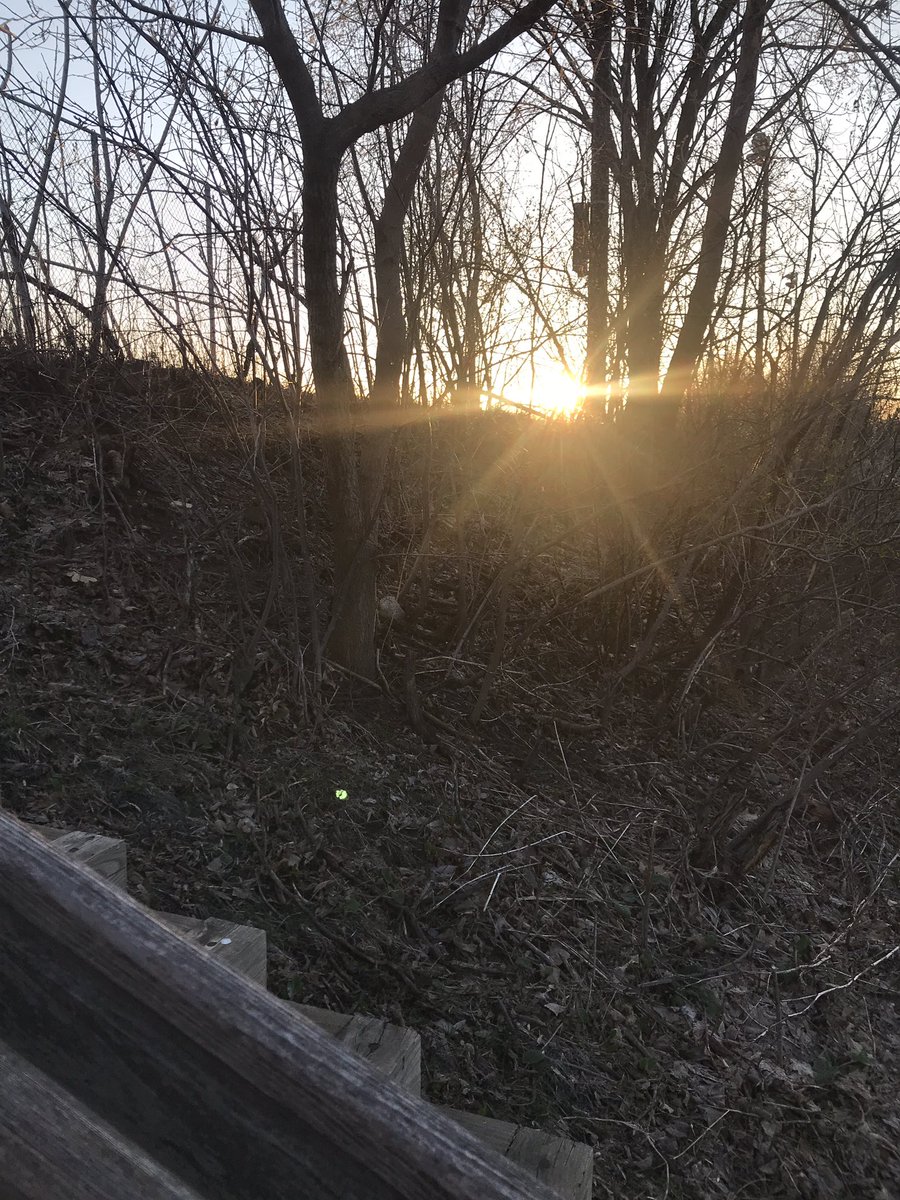 stupidtrumpers's tweet photo. Wellness Wednesday Wake up Run 5 miles at 7am caught on the doorbell cam ! @GrandmasMara #fitness #wednesdayrun #marathon #bqualified #Grandmas #run #WellbeingWednesday https://t.co/xRu1WupA4U