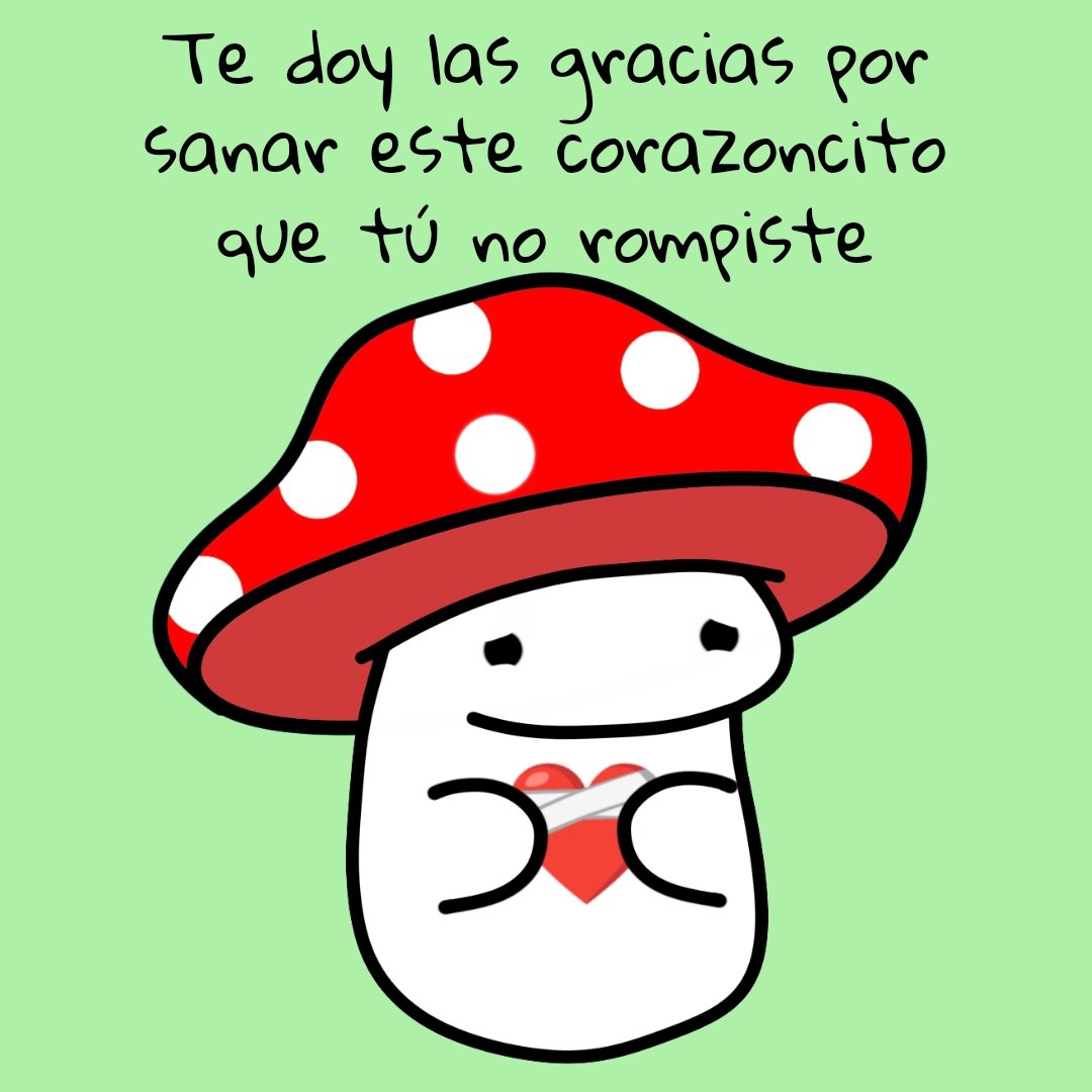 Funguitos (@funguitos) on Twitter photo 