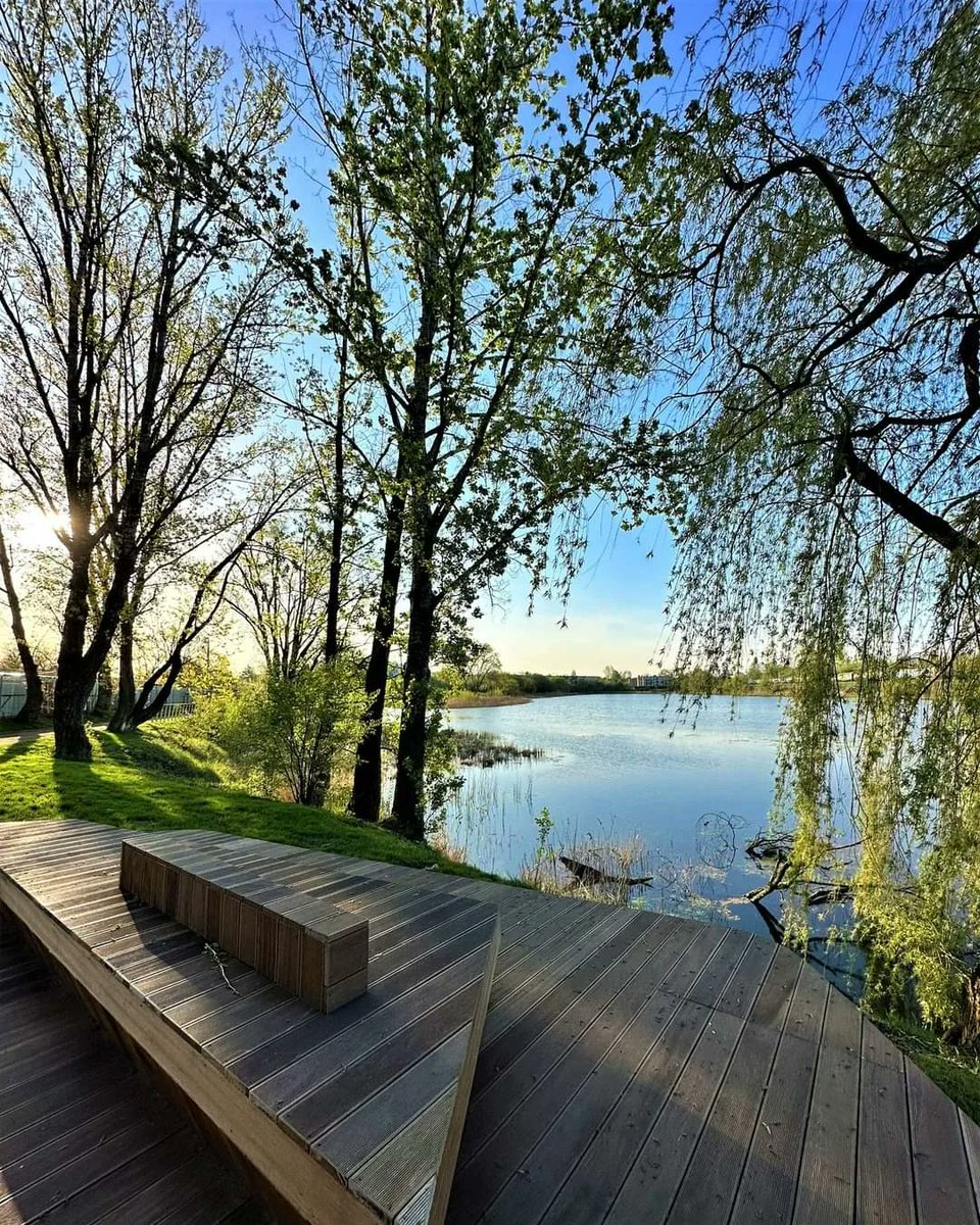 ZZMKrakow's tweet image. #Staw Płaszowski w @krakow_pl - trwają procedury odbiorowe. Już niebawem będziecie mogli planować spacery w tym niezwykle urokliwe miejscu.
Odpoczynek wśród kwitnących magnolii lada moment 🌺💚
@krakowski_BO