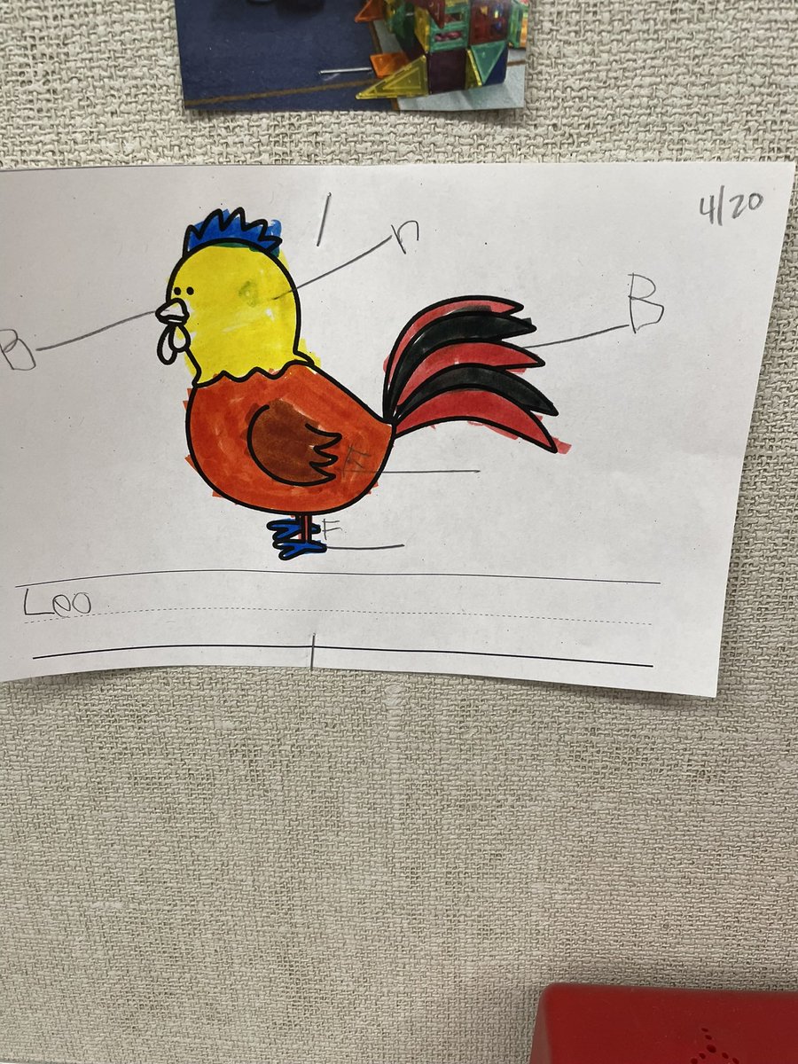 TeachPrimaryEd tweet picture