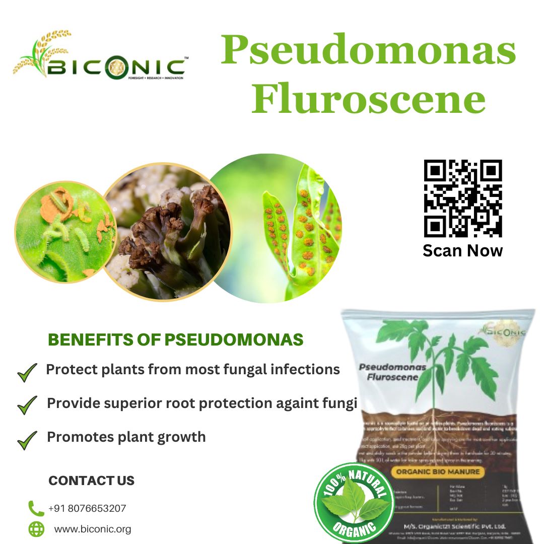 biconicorg's tweet photo. "Pseudomonas fluorescens: a versatile bacterium with a fluorescent personality."
contact us: +91 8076653207
#microbiology #bacteria #pseudomonasaeruginosa #salmonella #bacteriology #laboratory #micro #science #yeast #microbiologist #ecoli #petridish #analysis #agar #elot #haccp https://t.co/01ovWeScCJ