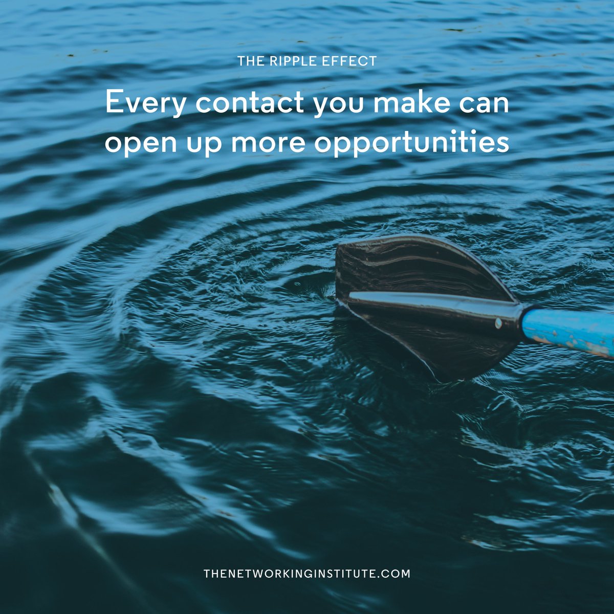 NetworkingInst's tweet image. Every contact you make can open up more opportunities.

#networking #networkingtips #networkingadvice
