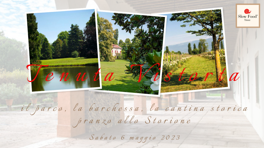 Slow Food Trieste tweet media