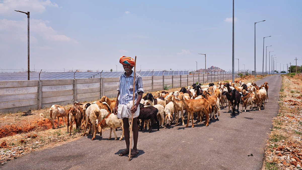 #India’s betting big on #solar. 13,000-acre big! What does the world's 3rd largest #pv park look like on the ground? And how is it impacting local people? I went to find out for <a href="/NewYorker/">The New Yorker</a>'s #climate #bottlenecks issue. <a href="/sejorg/">Society of Environmental Journalists (SEJ)</a> #climatechange #renewables   buff.ly/41FBPKK
