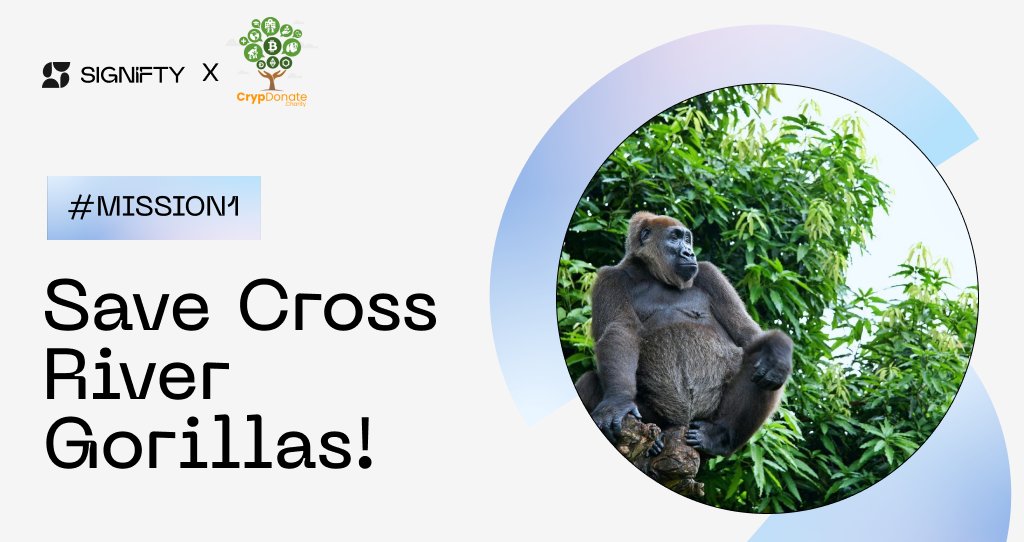 №1 Signifty’s Mission

Saving Cross River gorillas 🦍

Drop is already taking place on our platform

Follow the link, donate, and save the planet: beta.signifty.me