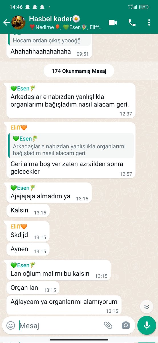 Leyla Gümüş tweet media