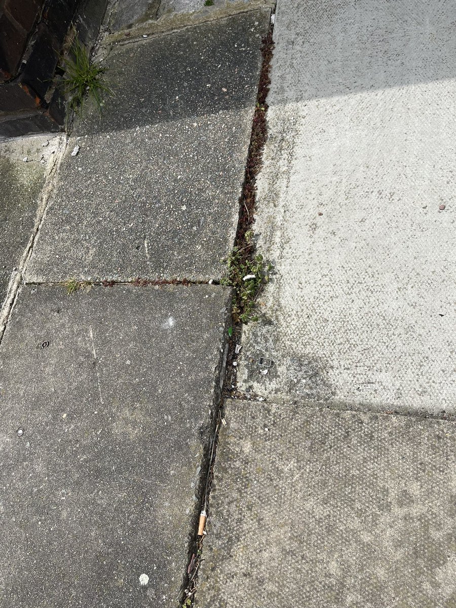 Angela Harrison tweet media