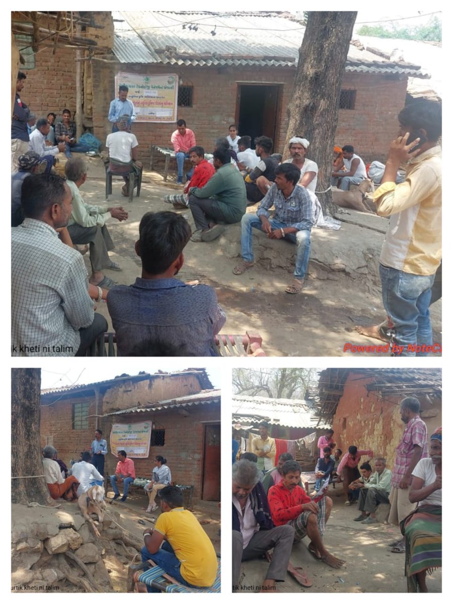 AtmaDahod's tweet image. દાહોદ જિલ્લાના ગામોમાં પ્રાકૃતિક ખેતી વિશે માર્ગદર્શન તેમજ નોડલ અધિકારીશ્રી, ઝાલોદ અને સંજેલી દ્વારા ગ્રામ્ય લેવલે પ્રાકૃતિક કૃષિ કામગીરી કરતા કર્મચારી/અધિકારીશ્રીઓ ના રીવ્યુ તેમજ ગાય યોજના લાભાર્થી મુલાકાત અને પ્રાકૃતિક કૃષિ કરતા ખેડૂતના માટીના નમૂના એકત્રીકરણ કામગીરી.