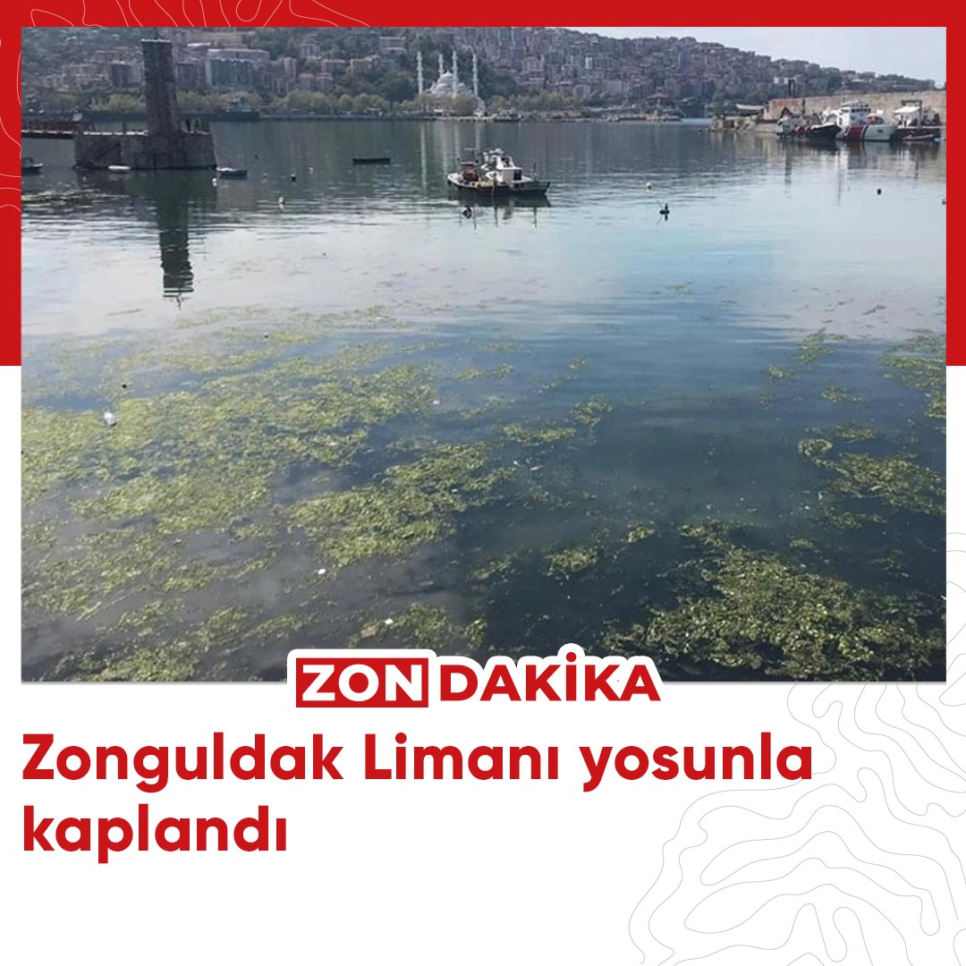 Zonguldak Limanı yosunla kaplandı. Detaylı bilgi için bağlantıyı ziyaret ediniz:zondakika.com/zonguldak/zong…
