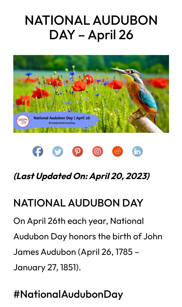 Dank1TheVandal's tweet photo. Today's National Audubon day so let's see those bird logos. @TheClinkRoom
#Day29ofEveryday #NoSidepatchChallenge #NationalAudubonDay2023 #TheClinkroom #customhats #birds #strictlyfitteds #fittedsonly #IDontSnapbacks #AccessibleExcellence #NOSIDEPATCHGANG https://t.co/L9fXzFJwed