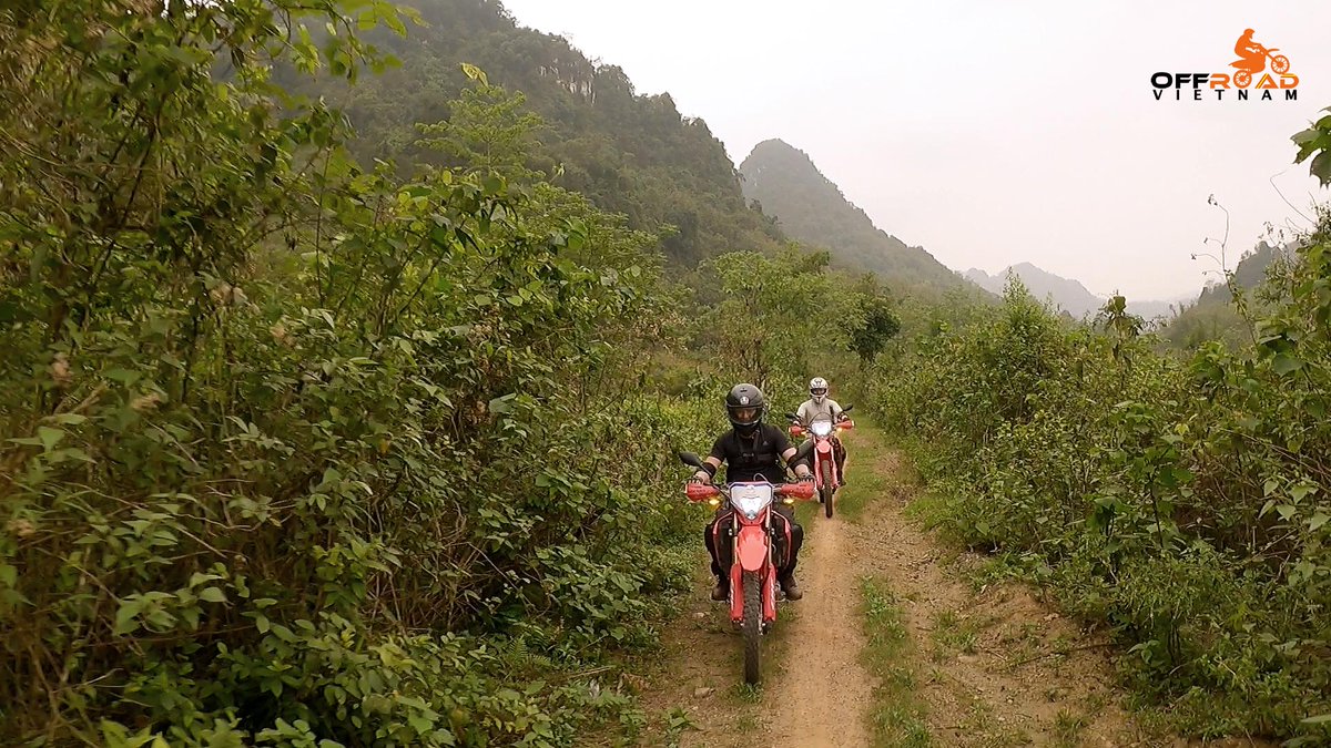 vietnambikers1's tweet photo. Life is full of difficult decisions to make. Off-road riding is one such decision to try. 😂️
💻 https://t.co/jgJ2tszVK2
#offroadriding #offroadoptions #challengingride #vietnam #xuhuong2023 #trending2023 #motorbike #tour #rental #honda #XR250 #XR150 #CRF150L #CRF250L #CRF300L https://t.co/JnPszEvAKj