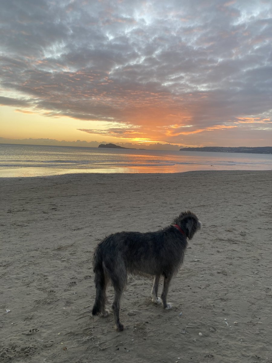 Ifty Finn tweet media