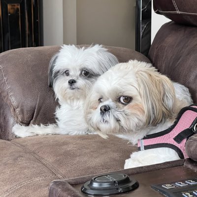 Kgarthus's tweet photo. #NewProfilePic https://t.co/fBPd5hDfho