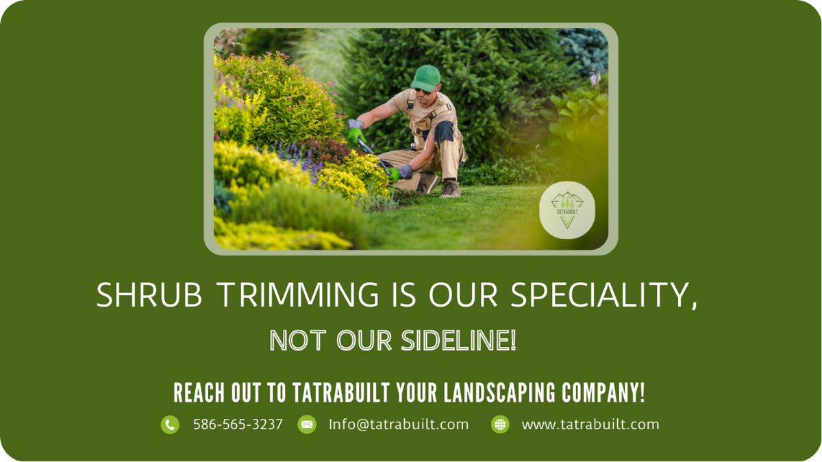 tatrabuiltllc's tweet photo. Don't settle for mediocre shrub trimming, trust the experts at Tatrabuilt!Reach out to Tatrabuilt your landscaping company!🌳
#Tatrabuiltllc #landscaping #landscapingdesign #LandscapingIdeas #landscapingcompany #landscapingequipment #landscapingdesigns #planting #plantingdesign https://t.co/SgtwIqffbb