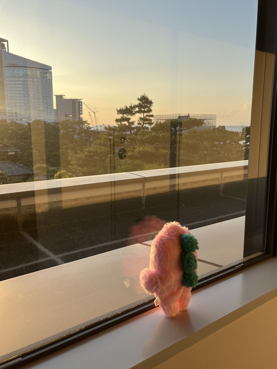 aim_1130's tweet photo. 「後ろの初恋ちゃんありがとうございます」って声を誰か録音してください。
絶対気づいてもらえないって思ってたから…😭😭😭
興奮して変な声出たけど許してみょんちゃん😭

初恋ちゃんの親友はみょんちゃんです💗

@aimyonGtter https://t.co/KAZECK3RFi