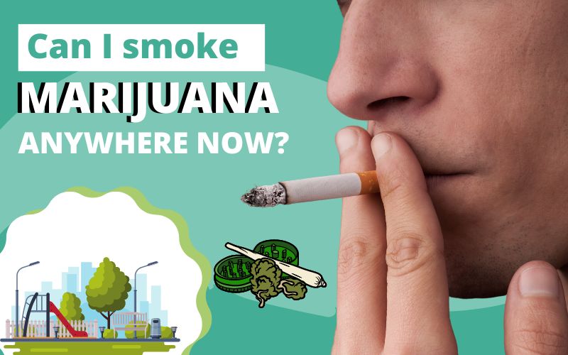 Sophiacarter192's tweet photo. With GreenPot MD, you can now smoke marijuana virtually anywhere, as long as it is legal in your state. #cbd #thcfreecbd #medicalmarijuana #winkinweed #greenpotmd #ganjalove #hemp #doctors #cannabis #unitedstates #recreationalcannabis #smoke https://t.co/Vp5ZCo7rT1