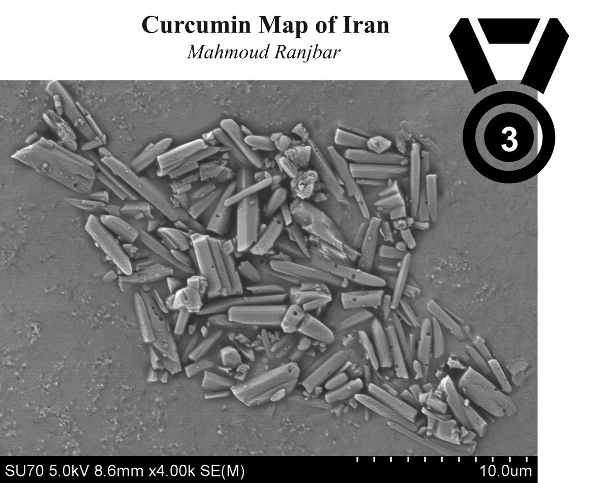 Congratulations to the three winners of the 2023 Bernal Institute Research Day Image Competition.

And thanks to all the entrants this year, all images were of excellent quality and creativity.

🎉📸

#research