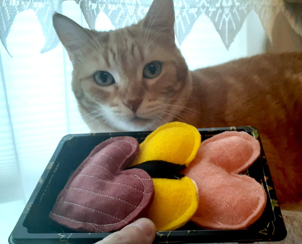 Cute Cat Toys | Heart Sushi Box | Unique cat mom gifts | vegan | Cat lover | birthday gifts etsy.me/3Lw6ogn #sushicattoys #giftsforpets #giftsforcatmom #giftsforcatdad #vegantoys #kittylover #birthdayadoption #organiccatnip #coolgifts