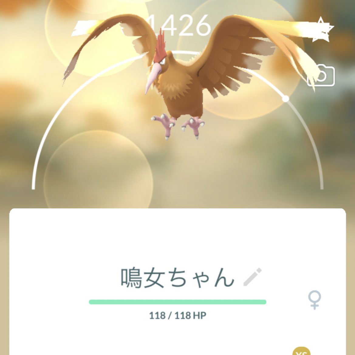 torihanahito's tweet image. おっオニドリルーーーキャ───(*ノдノ)───ァ
推しの星4なんて今日はなんて最高な日なんだ( ;꒳; )
偶然動画も撮れちゃったし!!
ポケGO続けて来て良かった...
よろしく鳴女ちゃん、大好きオニドリル♥️
(後近くに居た父も星4オニドリルgetしたのは笑った)
#ポケモンGO
#オニドリル