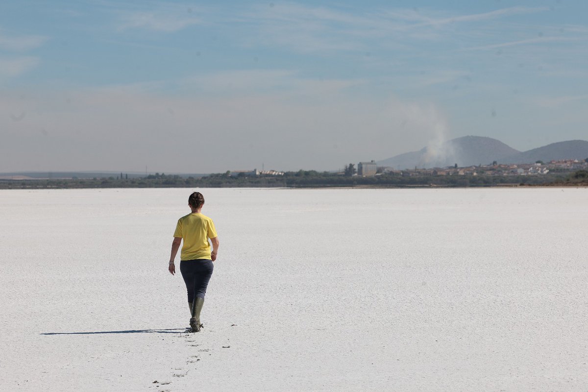 DiarioSUR's tweet image. 🦩💧 La #laguna de #FuenteDePiedra está seca: un desierto de sal sin #flamencos. La #sequía deja sin su hábitat a esta especie, que no ha podido formar colonia, por lo que este año se suspende el tradicional anillamiento.✍ @Matias_slb 📷 @borisalas ➡️ diariosur.es/malaga/laguna-…