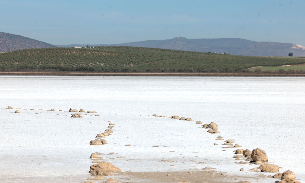 DiarioSUR's tweet image. 🦩💧 La #laguna de #FuenteDePiedra está seca: un desierto de sal sin #flamencos. La #sequía deja sin su hábitat a esta especie, que no ha podido formar colonia, por lo que este año se suspende el tradicional anillamiento.✍ @Matias_slb 📷 @borisalas ➡️ diariosur.es/malaga/laguna-…