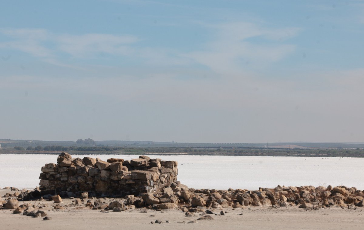 DiarioSUR's tweet image. 🦩💧 La #laguna de #FuenteDePiedra está seca: un desierto de sal sin #flamencos. La #sequía deja sin su hábitat a esta especie, que no ha podido formar colonia, por lo que este año se suspende el tradicional anillamiento.✍ @Matias_slb 📷 @borisalas ➡️ diariosur.es/malaga/laguna-…