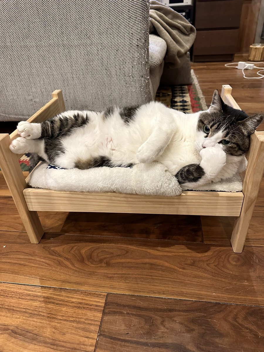 运筹帷幄之中…