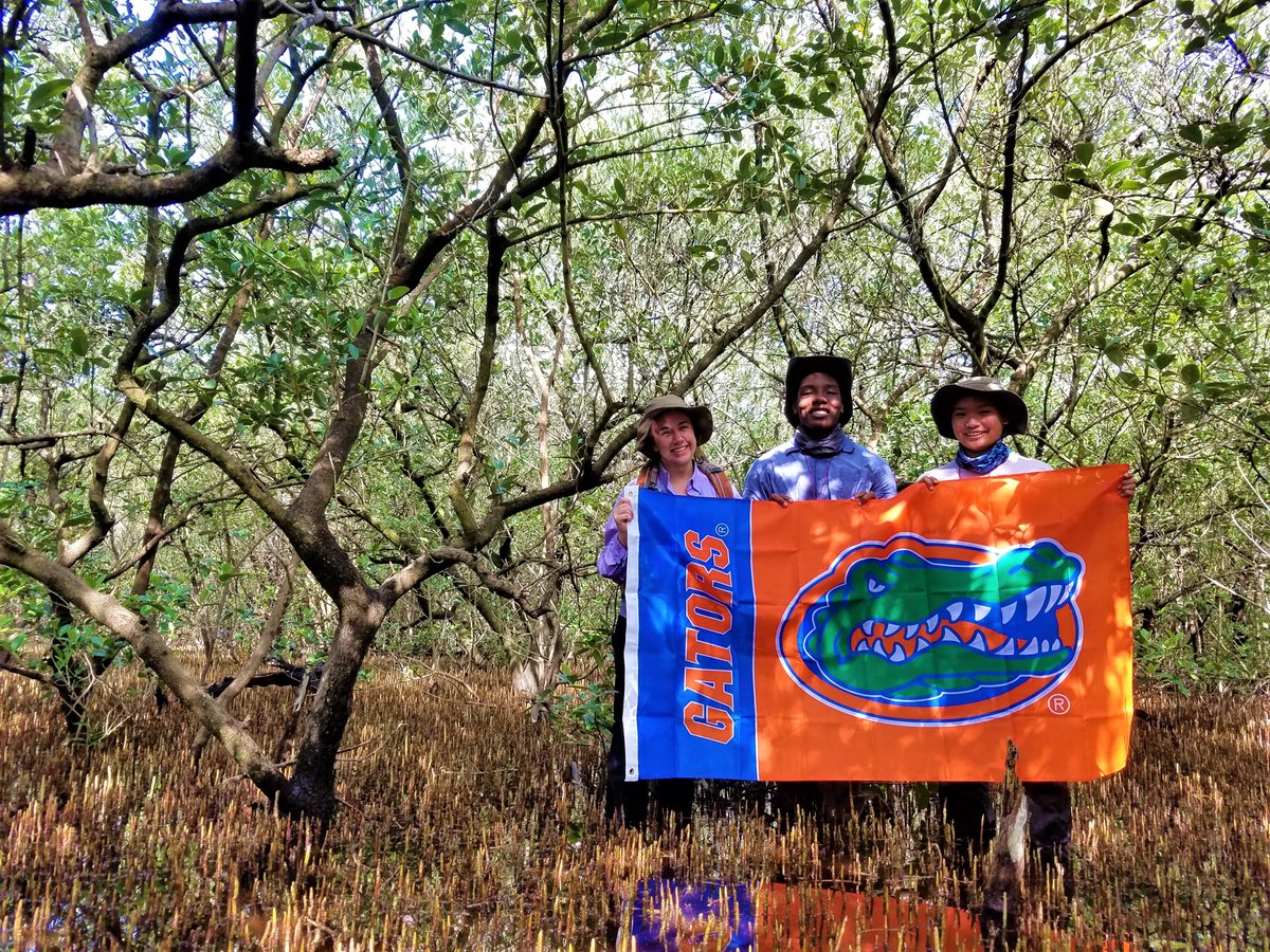 Wildlife Techniques students <a href="/UF/">FLORIDA</a> make videos where they address a problem w/ how wildlifers conduct research. Have a minute? Please add a question to a video - this interaction w/ professionals is immensely helpful! Thank you! <a href="/UFWildlife/">UF IFAS Wildlife</a> <a href="/UF_IFAS/">UF/IFAS</a> youtube.com/playlist?list=…