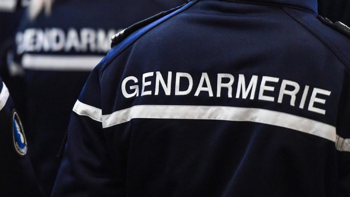 GossipRoomOff's tweet photo. 🚨 Le corps dénudé d'une fillette de 5 ans, disparue quelques heures plus tôt, a été retrouvé sans vie dans un sac poubelle, ce mardi après-midi dans un appartement à #Rambervillers.

Un adolescent de 16 ans, déjà connu de la Justice pour des atteintes sexuelles et signalé ces derniers jours, a été placé en garde à vue. Il souffrirait de troubles psychiatriques. "Il était connu de la police municipale et avait pour habitude, apparemment, d'attirer les jeunes enfants" rapporte le maire. Il y a près de deux ans, il avait été interpellé pour avoir agressé deux autres adolescents. Il les avait attachés à un arbre avant de leur faire des fellations. 🚔 (via FranceBleu)

Condoléances et pensées aux parents de cette petite fille. Qu'elle repose en paix. 🌹🕊️