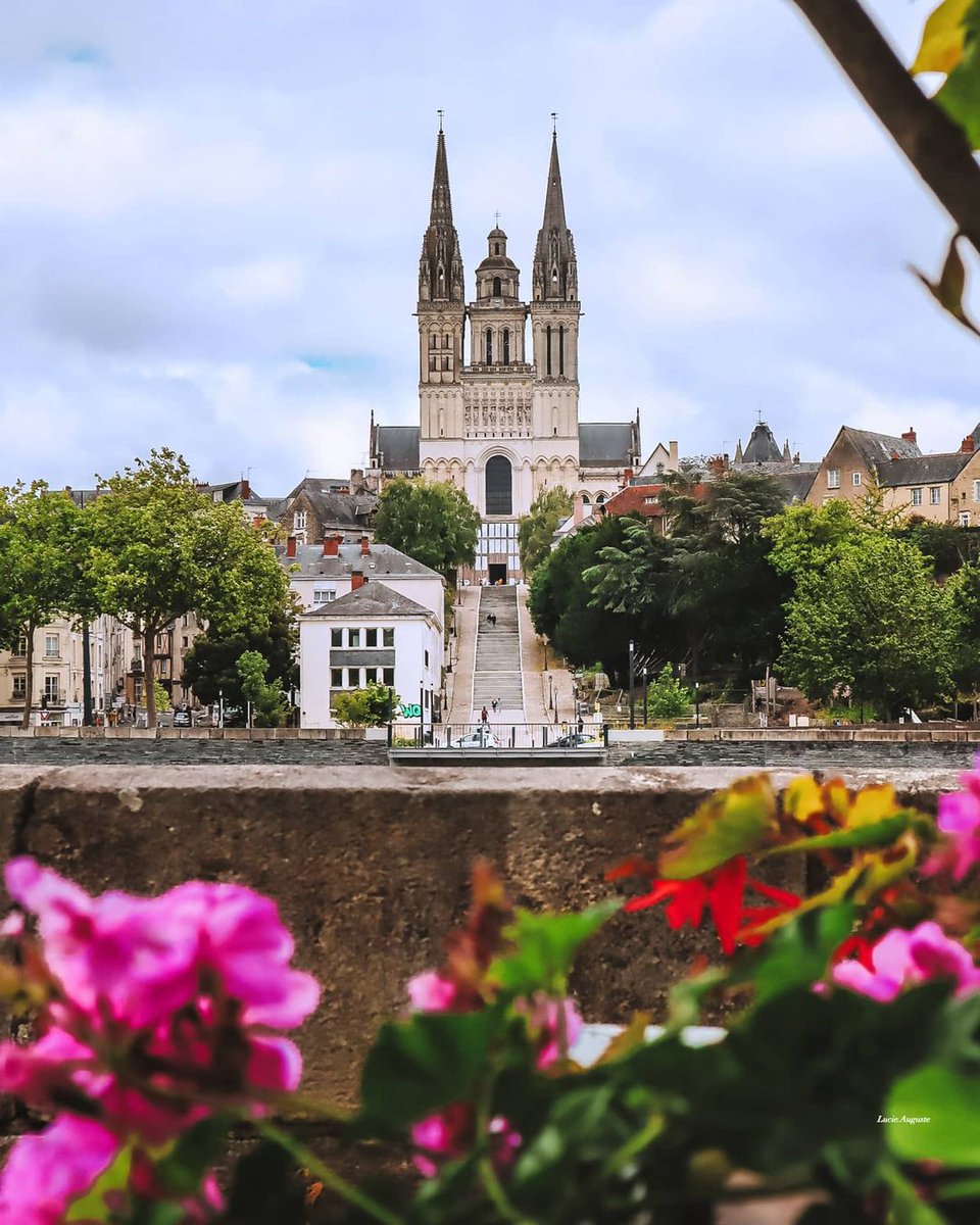 MyLoireValley's tweet photo. Admirez cette magnifique vue sur la montée Saint-Maurice et la cathédrale d’#Angers. Une fois en haut, la récompense est à l’image de l’effort fourni.

📸 lucie.auguste https://t.co/EWPZ5OuO3q