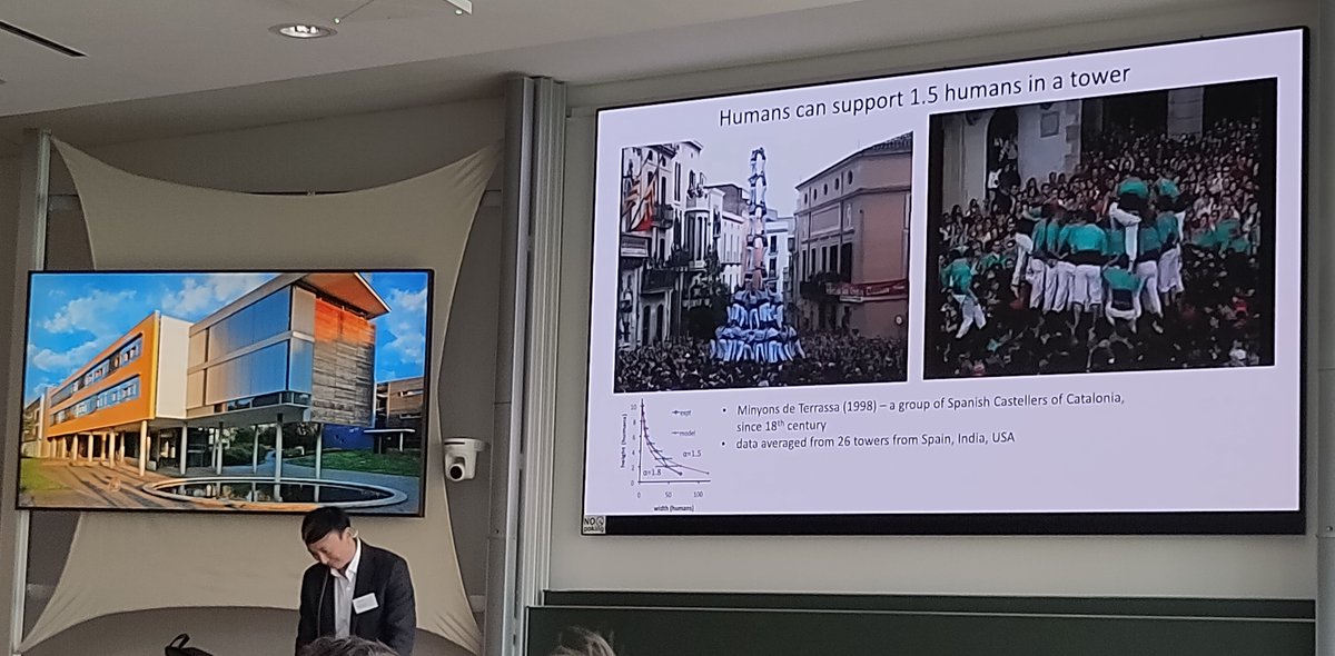 RicardAlert's tweet photo. Catalan human towers (castells) this morning at the #active23 workshop at @mpi_pks! @drdavidhu made a parallel between them and towers of fire ants. Apparently it's a bit harder for humans, but we can still do a decent job! https://t.co/Try3rKDcfX