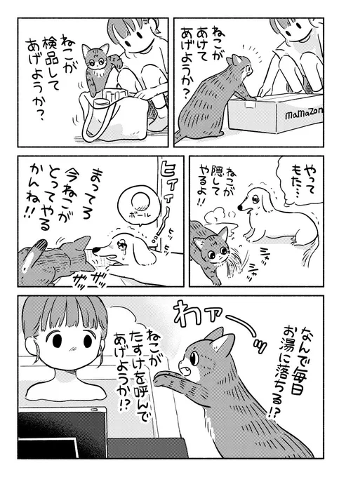 お世話係のねこちゃん