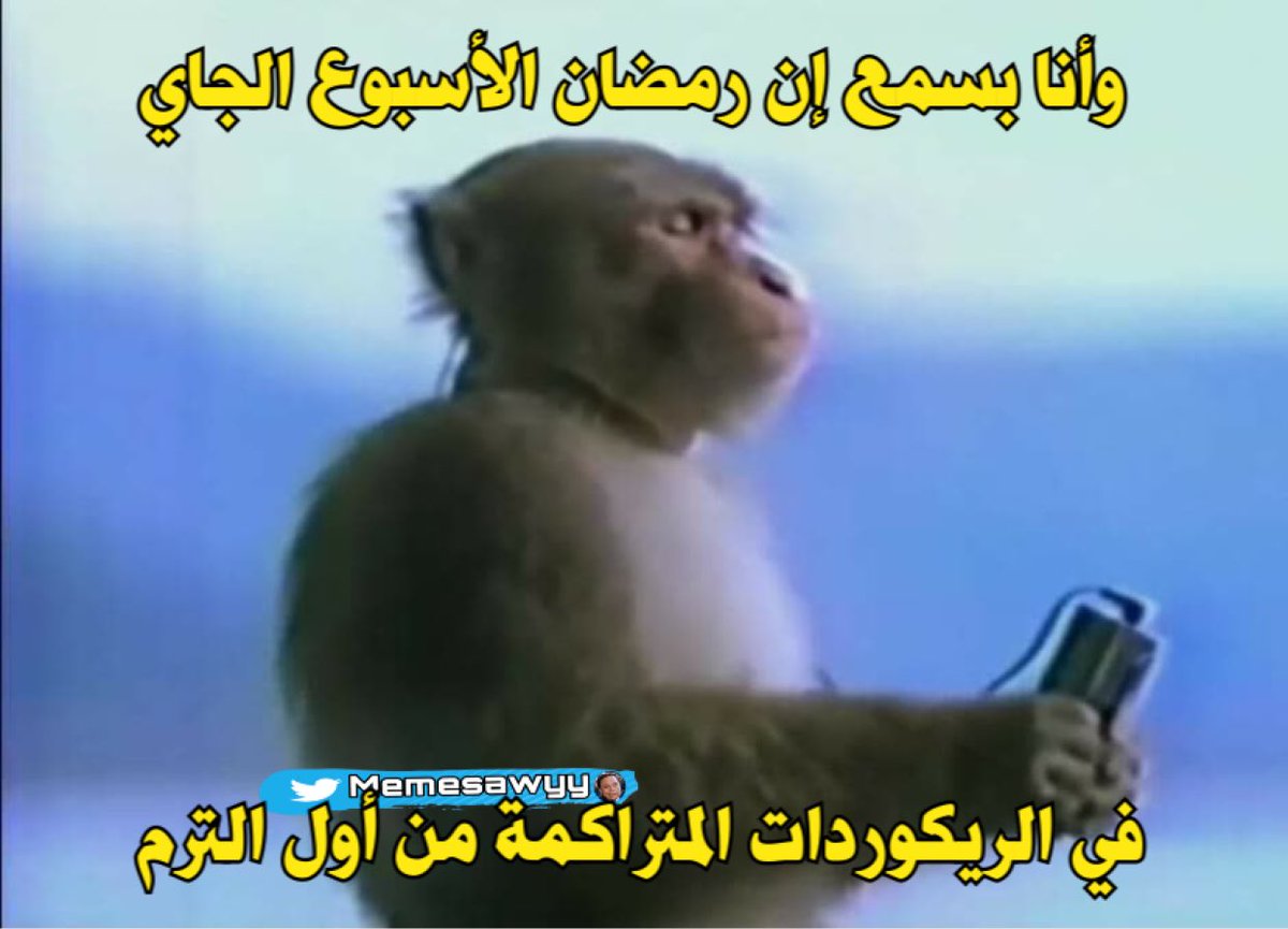 Memesawyy's tweet photo. https://t.co/1DEGPOoWE7