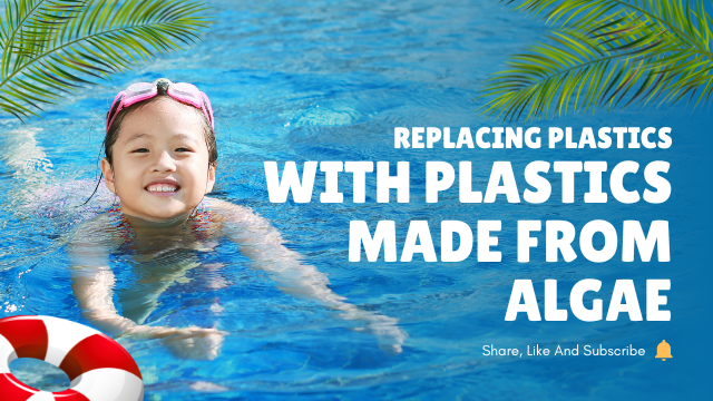 Just posted an article that explains how algae plastics could be the future! Check out the post here ==> greenalgaebusiness.website/blogs/19