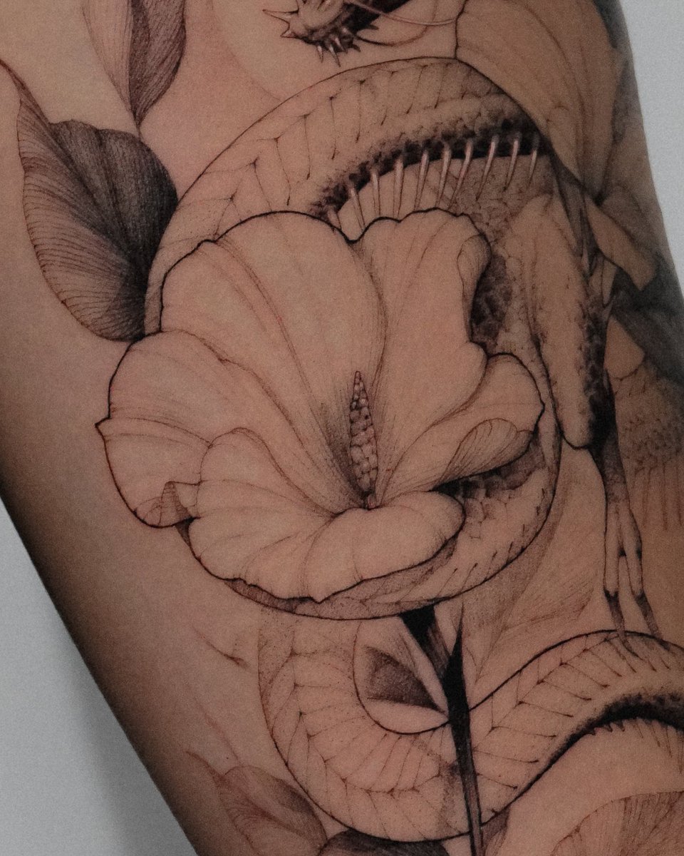 Zaeno7's tweet photo. Dragon and Korean Roses 🐉🌺 https://t.co/qJDWOn5mb1