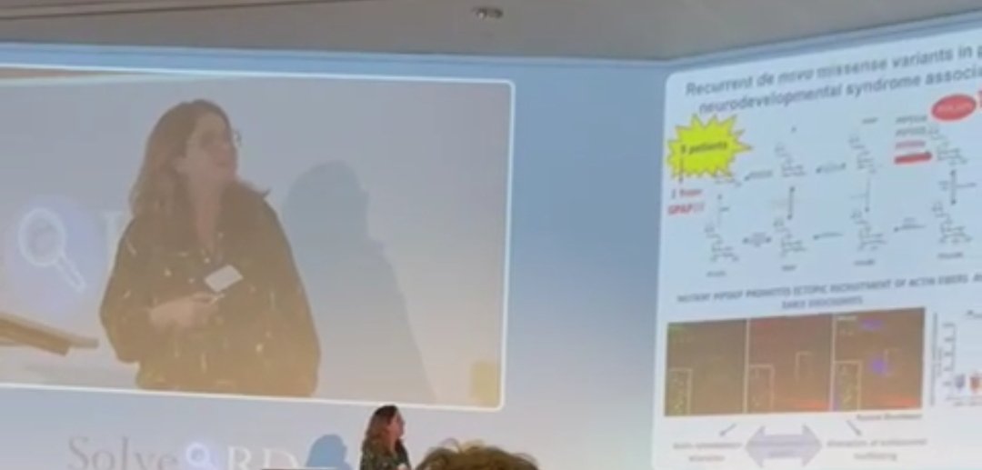 MorleoManuela's tweet photo. Nice talks @Solve_RD Final Meeting in Prague! We explained our latest findings on disease genes discovery in @telethonitalia Undiagnosed Diseases Program🧬!! 💪🏼 https://t.co/u5TIAA5MZ3
