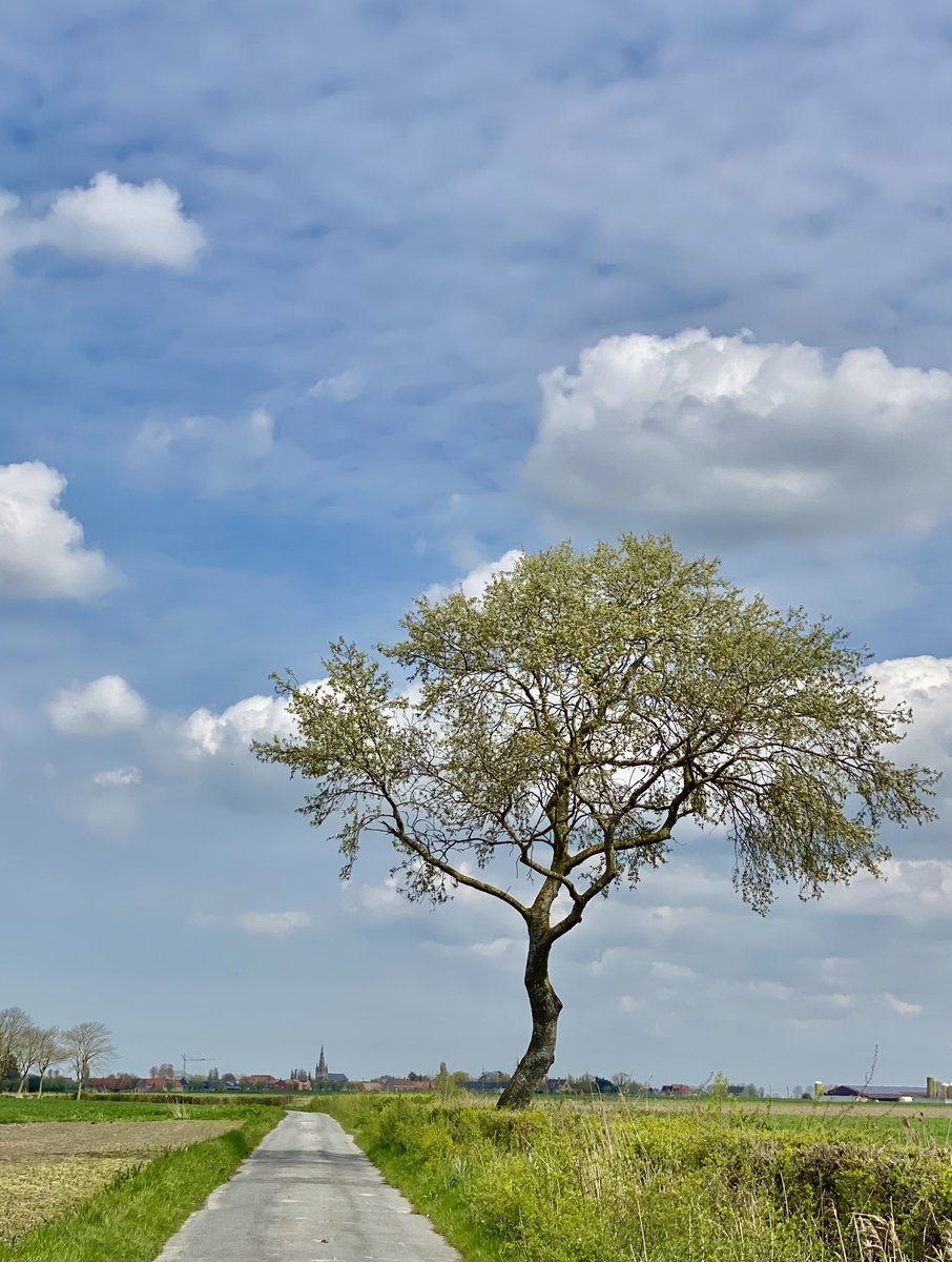 bart_seys's tweet photo. Bulskamp - Veurne 13u45 en 13Β° Witte Abeel π³ met aan de horizon de kerk van #bulskamp #vrtweer #boom https://t.co/XBkHCjnNSz