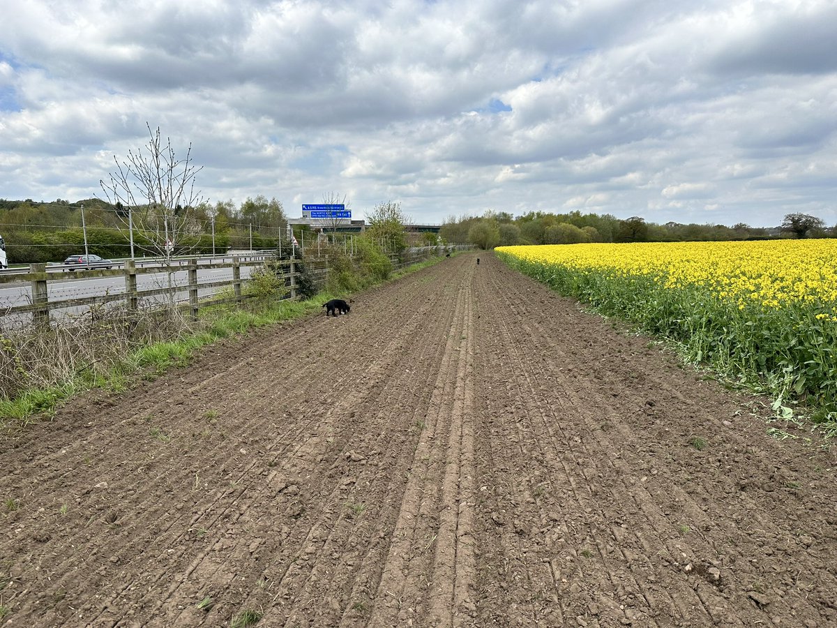 Establishing a wild flower margin alongside the <a href="/M6tollRoad/">M6toll</a>  this morning …. it’s us farmers destroying the environment apparently 🤣#ironic #ClimateAction #ClimateCrisis